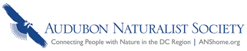 ans logo