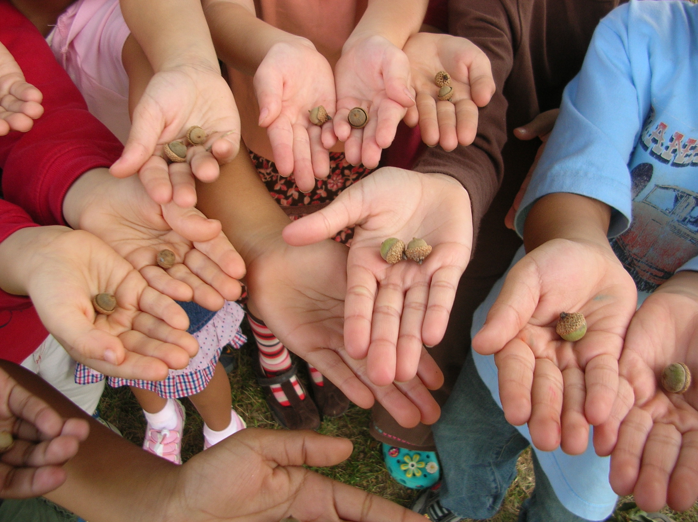 ANS - growing the next generation of nature stewards