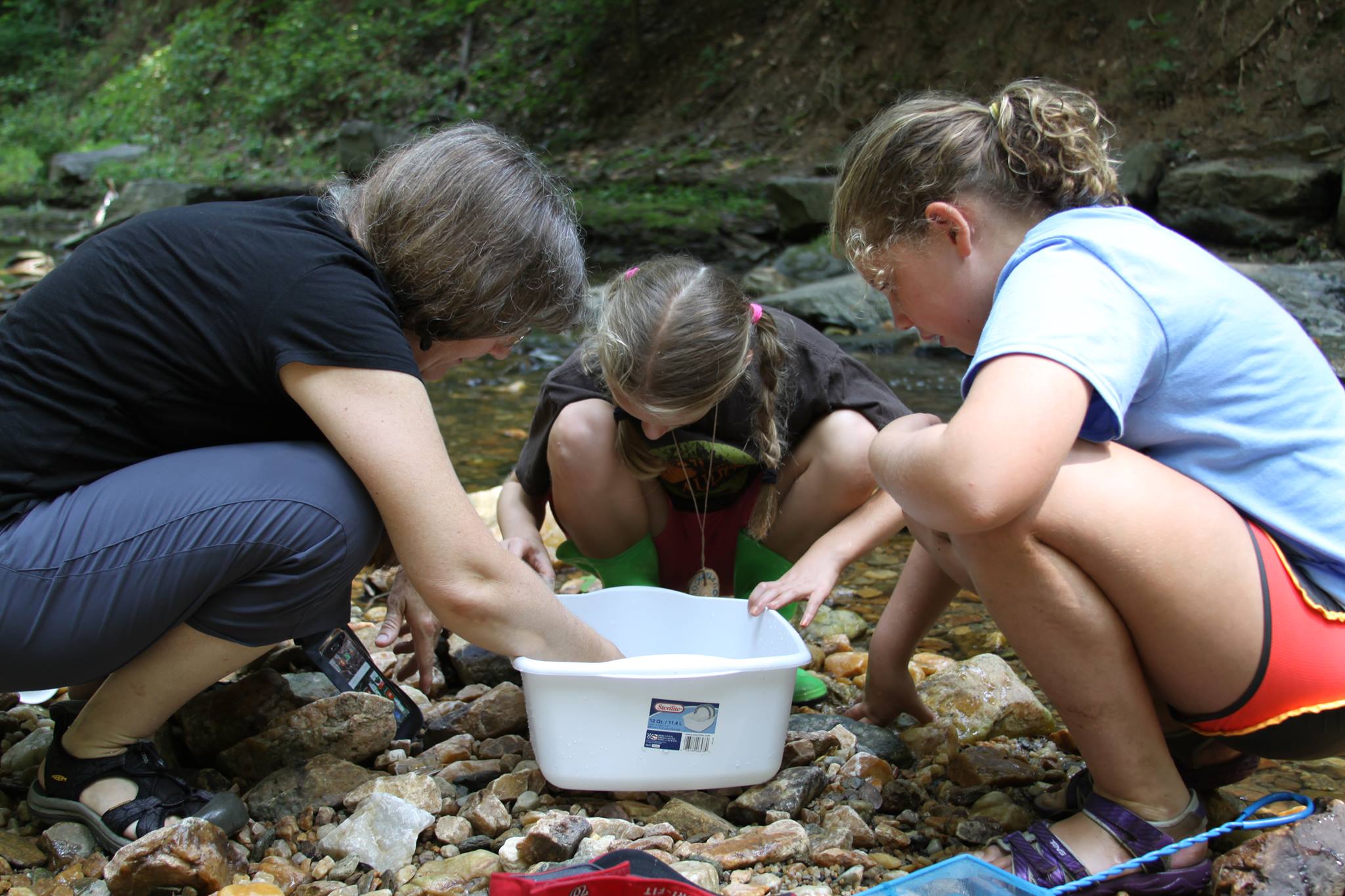 Creek Critters app users