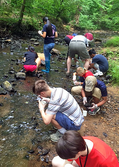 south run crcr blitz5542monica