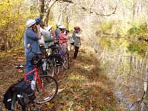 fall on wheels 11 08 b