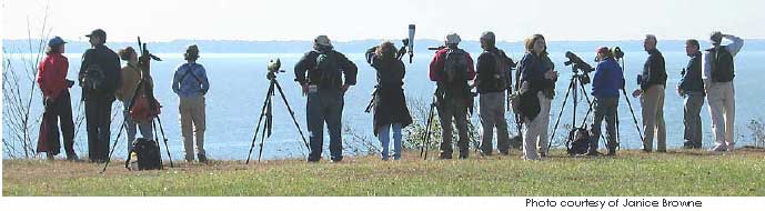 janice browne_adultprograms