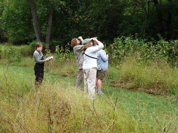 Birdwatching at Woodend Sanctuary