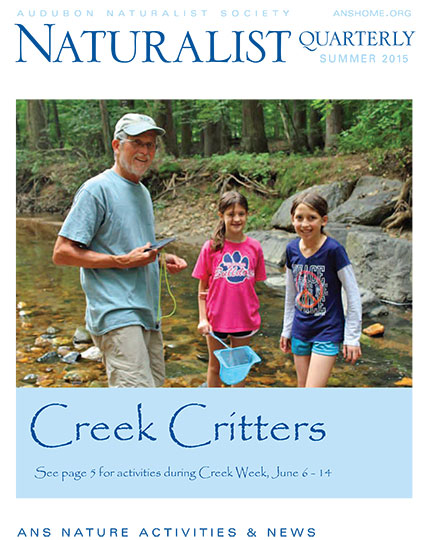 NQ-Summer-2015-for-web-1