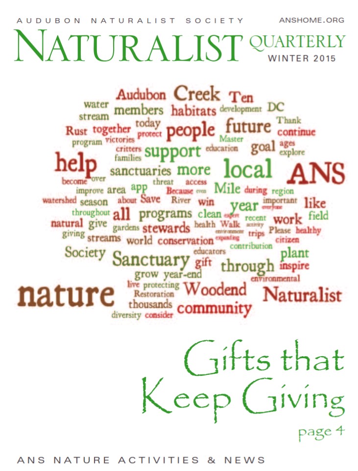 NQ Winter 2015 cover