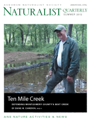 summer2012coversmall