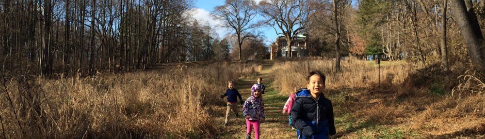 cropped-kids-running-thru-meadow1