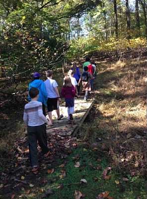 Bridge walk at Woodend