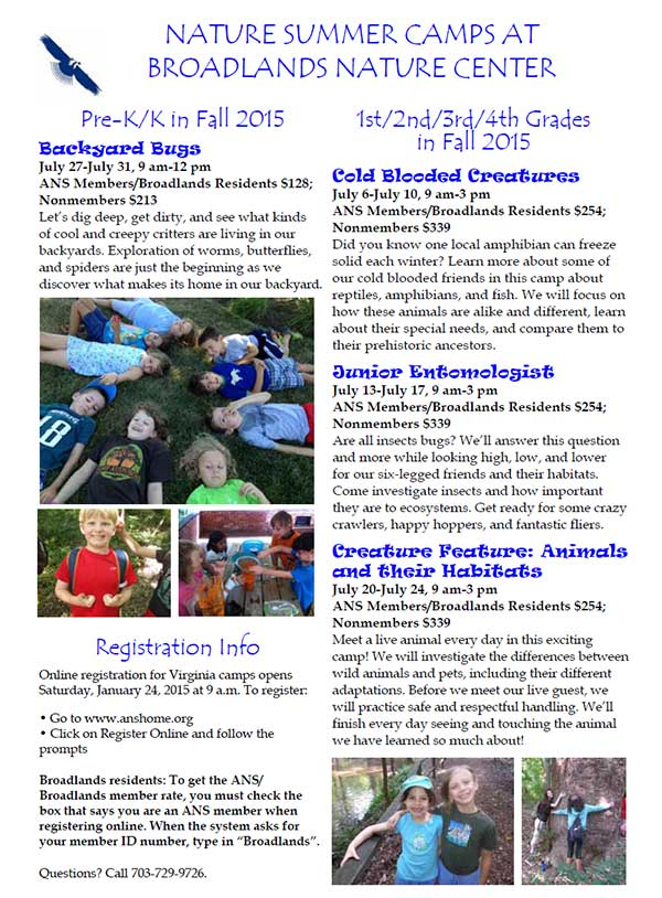 broadlands2015camps