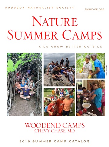 camp catalog2016