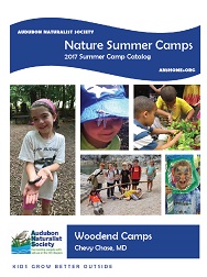 camps catalog 2017