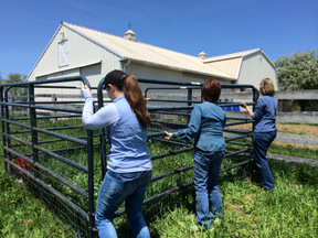 10-JoyJillDarleneRotationalGrazing