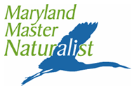 MDNaturalistLogocopy