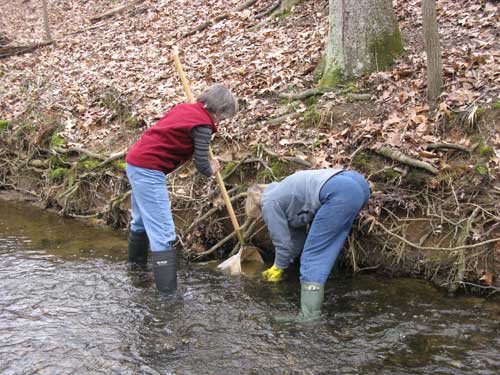 1---Using-a-D-net-to-collect-macroinvertebrates