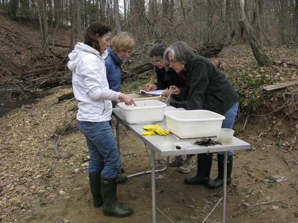 3---Lyn,-Anne,-Connie,-and-Barbara-look-for-macroinvertebrates