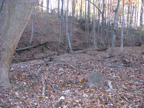 5---Stormwater-runoffwashes-trash-and-debris-onto-the-bank
