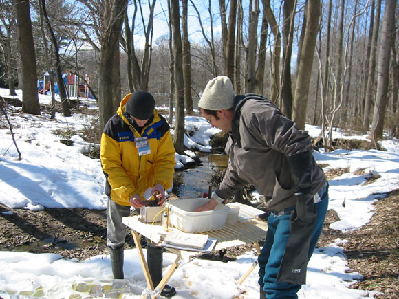 3---It's-amazing-what-you-can-find-in-winter