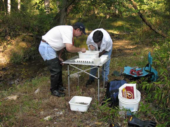 2---Derek-and-Torre-look-for-macroinvertebrates
