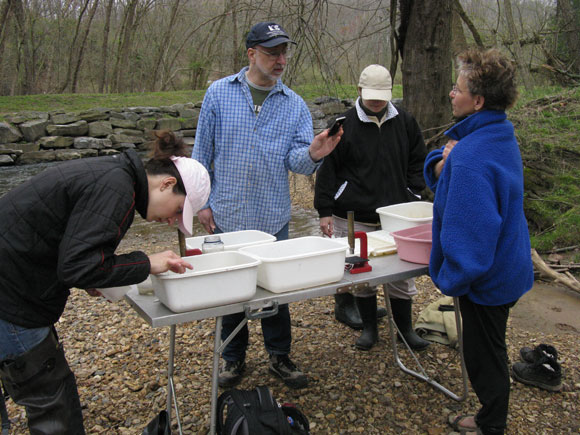 2---Mary,-Matt,-Carol,-and-Arlene-confer-about-what-they-have-found