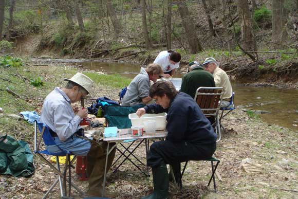 2---Sorting-and-identifying