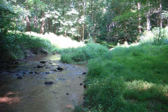 3---The-island-and-lower-riffle