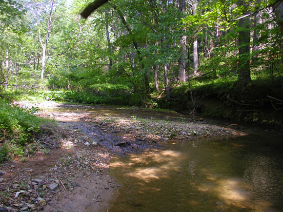 4---The-bar-and-upper-riffle