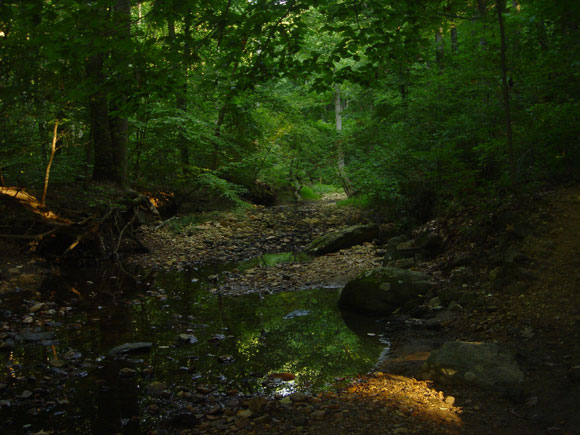 2---Pinehurst-Tributary,-low-flow-in-Fall-2007