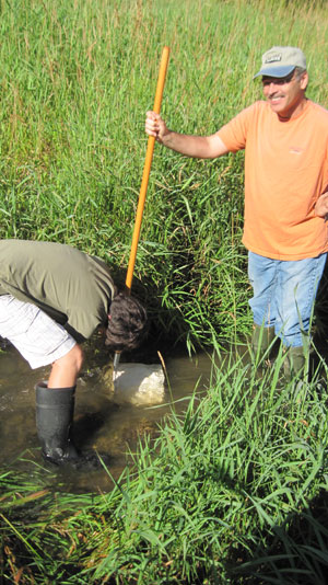 1---Drew-and-Bob-Villeneuve-use-a-D-net-to-collect-macroinvertebrates