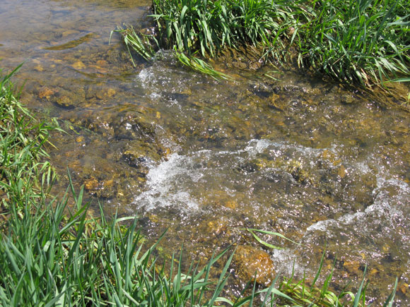 2---One-of-the-riffles