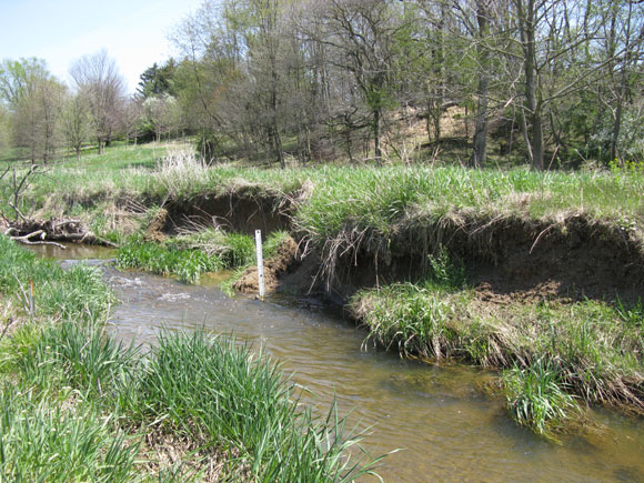 3---In-2007-a-beaver-dam-caused-many-changes-to-the-stream