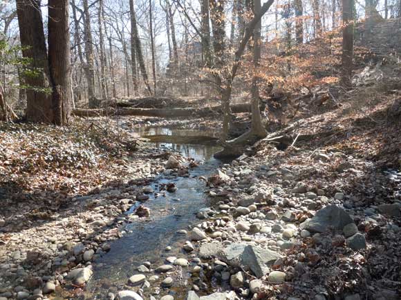 1---Normanstone-Run,-winter-2011