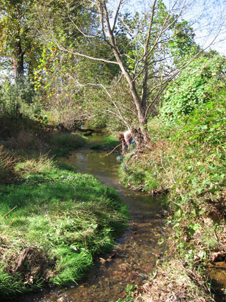 1---Collecting-benthic-macroinvertebrates,-October-2008