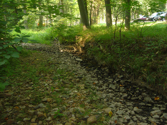 3---Sligo-Creek,-fall-2007