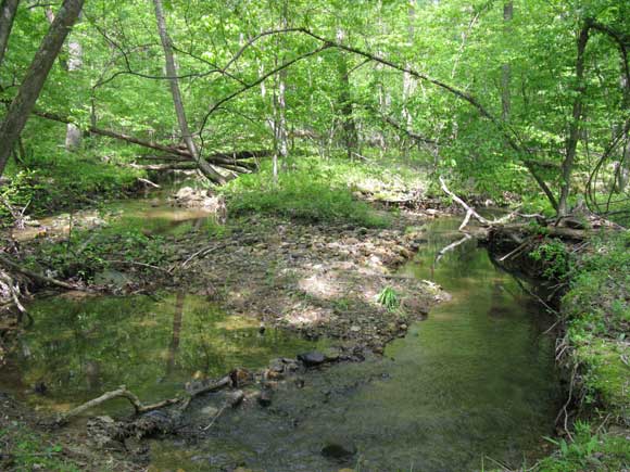 2---Possible-island-being-formed