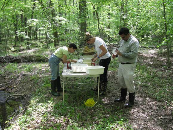 4---Debra,-Kim,-and-team-leader-Diyan-sort-and-identify-macroinvertebrates