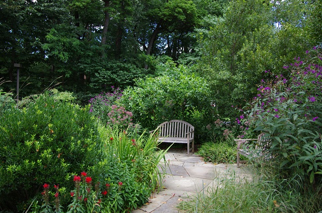 Blairgarden woodendsanctuary