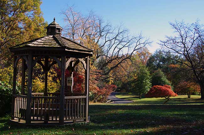 gazebo at woodend nature sanctuary