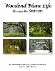 WoodendPlantLifeSmall