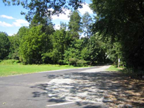 woodendbackdriveway2